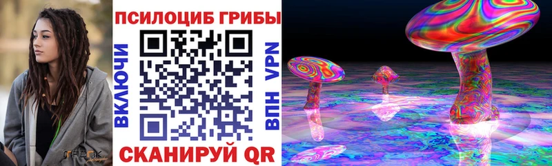 закладки Кологрив Галлюциногенные грибы Psilocybe